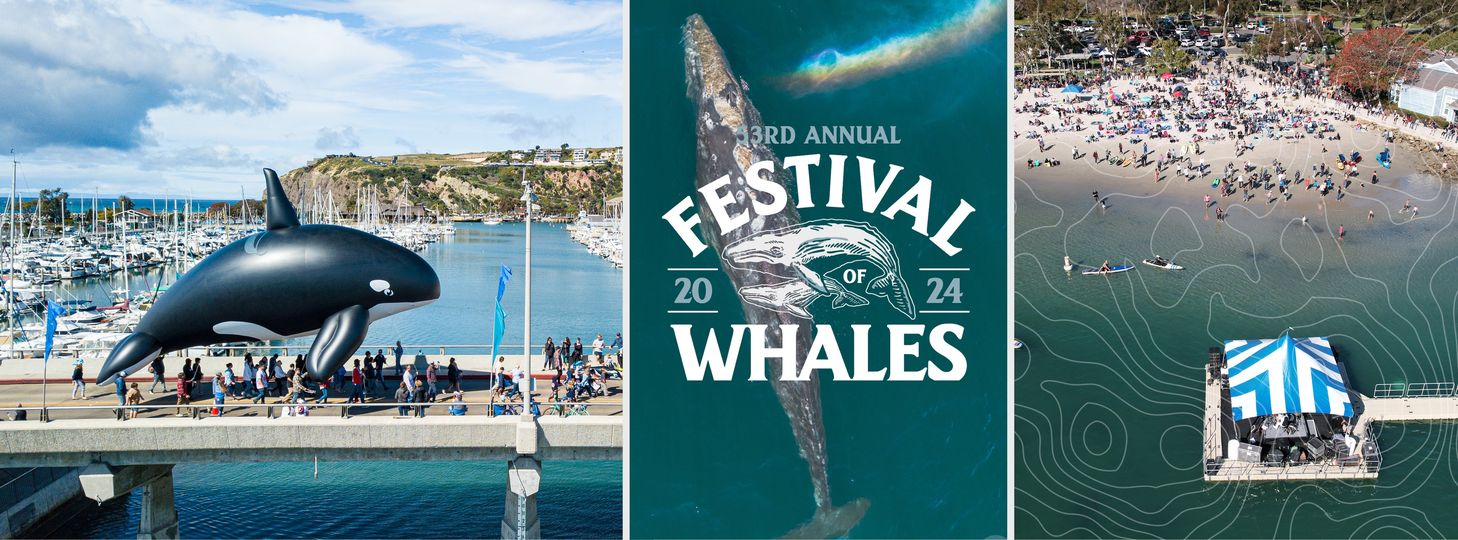 Dana Point Festival of Whales