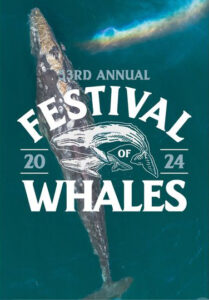 Festival of Whales Dana Point 2024
