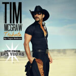 Tim McGraw band at summer in the park dana point