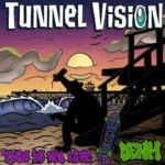Tunnel Vision Band DP Concerts in Park