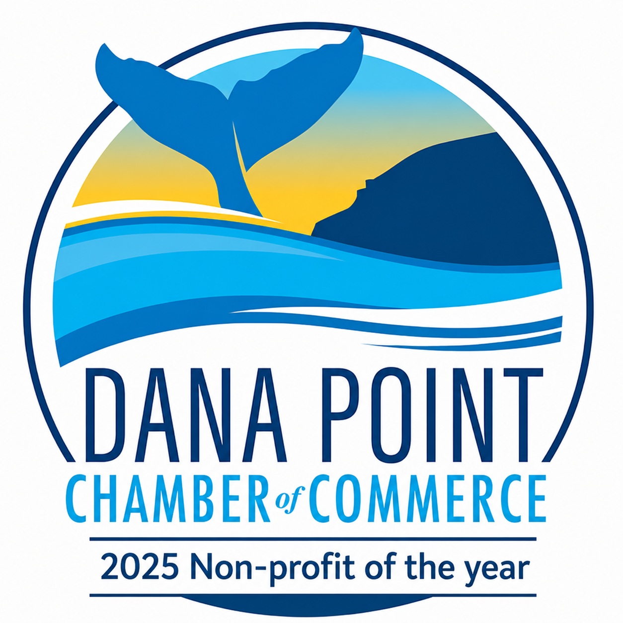 Dana Point Chamber Non-profit of the year award